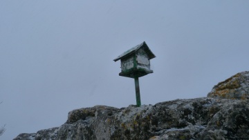 2017-02-05 CORONILLA (1.162M) TEJOS MILENARIOS PANIZARES BURGOS