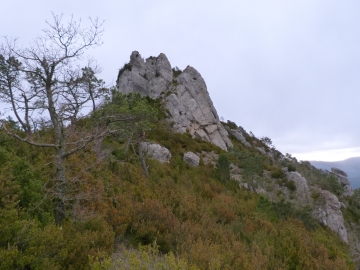P1330278
