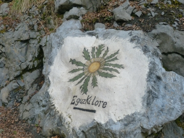 P1330589
