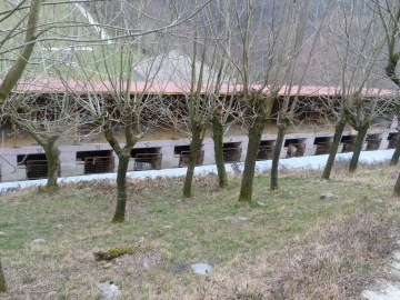 P1330616