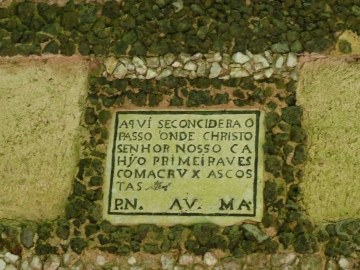 41