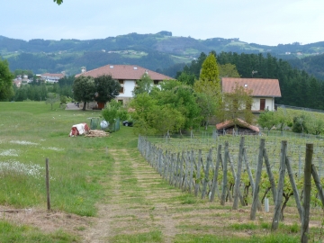 P1350161