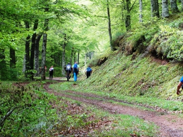 DSC06661