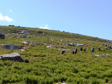 DSC06680