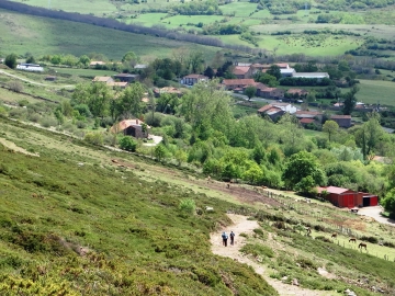 DSC06710