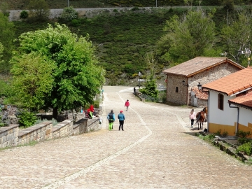 DSC06733