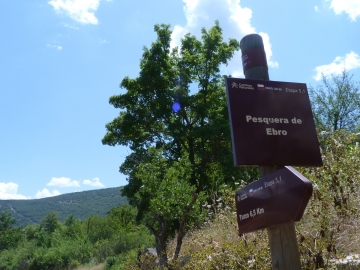 P1360720