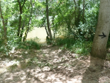 P1360735