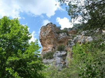 P1360743