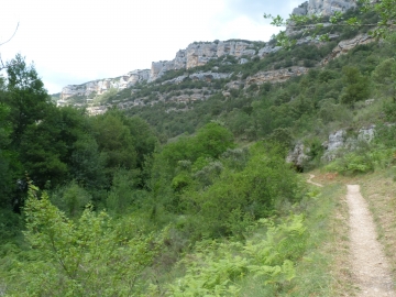 P1360771