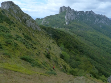 48