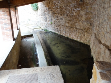 DSC08939