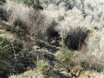DSC00255
