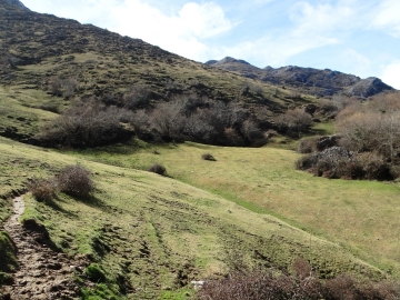 DSC00260