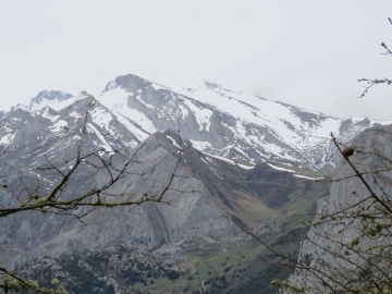 IMG_1924
