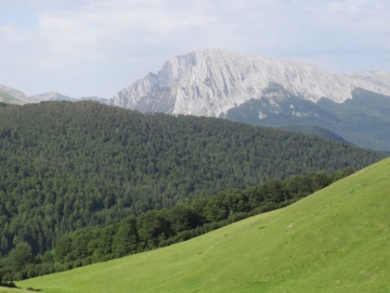 30 IMG_4561 PANO