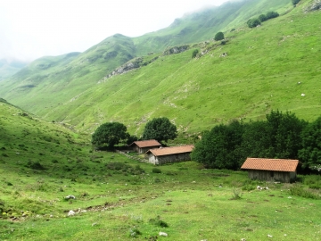 DSC01455