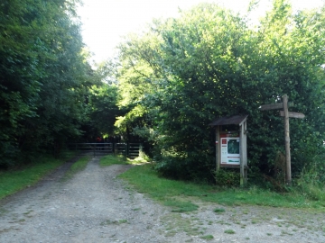 DSC01513