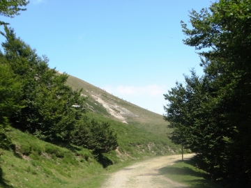 DSC01544