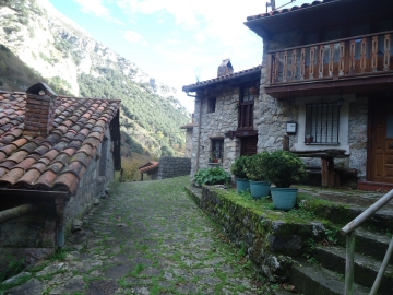11C