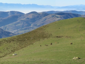 IMG_6570 PANO