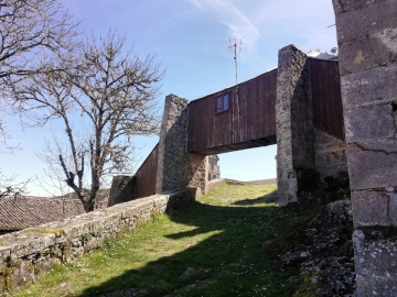 36