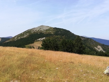 IMG_20190721_125657