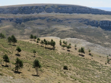 38-1 PANO PEÑA AMAYA