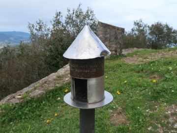 36
