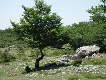 DSC00193