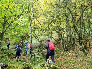 45