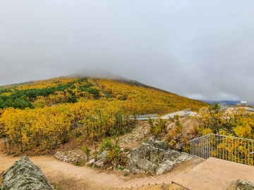 IMG-20211102-WA0017