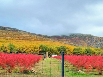 IMG-20211102-WA0048