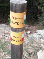 25