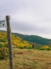09