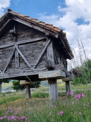 28