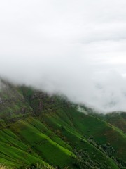 DSC01375