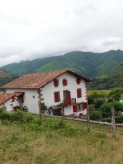 DSC01411