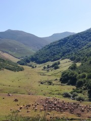 IMG_20220723_110603