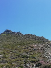 IMG_20220723_135155