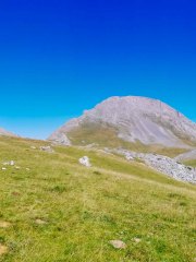 IMG_20220724_120328