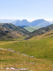 IMG_20220724_120343
