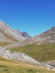 IMG_20220724_120347