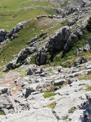 IMG_20220724_130629