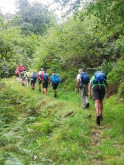 IMG_20220725_103504