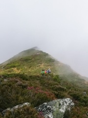 IMG_20220725_132931