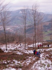 IMG_9393
