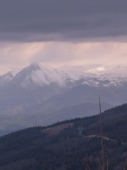 IMG_9394