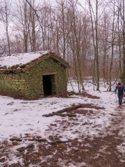 IMG_9395