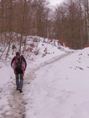IMG_9397